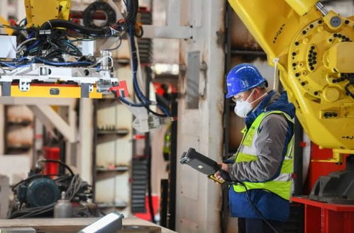 ?？飘厴I(yè)生的職業(yè)流向 數(shù)據(jù)揭示主流去向，過來人分享真實(shí)體會(huì)