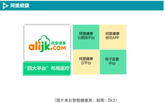 BAT如何布局移動(dòng)醫(yī)療數(shù)據(jù)處理服務(wù) 戰(zhàn)略、技術(shù)與未來展望